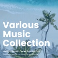 Various Music Collection Vol.302 -Selected & Music-Published by Audiostock-