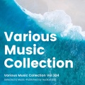 Various Music Collection Vol.304 -Selected & Music-Published by Audiostock-