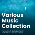 Various Music Collection Vol.306 -Selected & Music-Published by Audiostock-