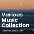 Various Music Collection Vol.307 -Selected & Music-Published by Audiostock-