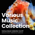 Various Music Collection Vol.317 -Selected & Music-Published by Audiostock-