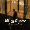 郑畅业 - 醉在风雨中