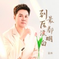 暴林 - 到最后都没明白