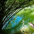 郝善良 - 良药