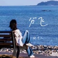 赵十三 - 分飞