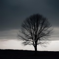 Broken Vow (Instrumental)
