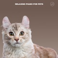Lullabies For Lap Cats