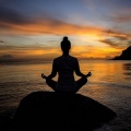 Reiki en paz cósmica、La flor del sol、La Orquesta Solfeo de la Paz - Guiado Por Un Silencio
