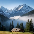 The Orchestra Of Clear Concentration: A Symphony For Focus And Mental Clarity