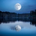 Blissful Night、Owl Sounds、Sleep Time Music - Gentle Sleepfall