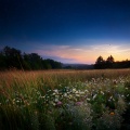 Solitude Beats、Chilled Ibiza、Music for Feeling Better - Soft Shadows In The Mist