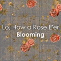 Lo, How a Rose E'er Blooming (White Lotus Season 3 - Final Scene)