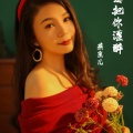 燕宝儿 - 我想把你灌醉