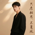 自在小哥 - 只愿相思不蔓延