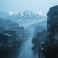 因为爱所以爱 (温柔经不起安排)