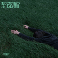 一朵小红花 - 阳光下的葵花
