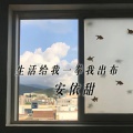 生活给我一拳我出布