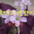 纪东辉 - 那年的烟火