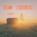 刘皮特 - 致你