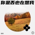 羽妃 - 你是否也在想我