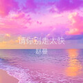 请你别走太快