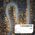 小抑韵 - 如果我们当时一起会怎么样/If