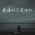 彤大王 - 最痛的不是回忆