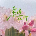 流年不吃榴莲 - 索玛花开