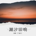 暗檠（丁俊杰） - 潮汐回响