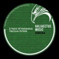 5 Years Of Haliaeetus