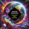 Paradoxo / Coda / Driftified