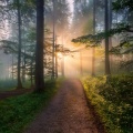 Orchestra Of Sacred Harmony: A Symphony For Healing And Tranquil Balance