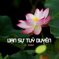 D - Bunny - Vạn Sự Tuỳ Duyên