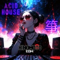 HINOMOTOちゃんねる - 箏_ACID-HOUSE_mellifluous_120bpm-2