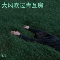 大风吹过青瓦房