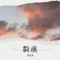 曾智清 - 裂痕