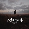 人生苦何时休