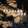 我从未停止想你