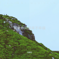 任夏夏 - 如果你问我过得幸不幸福