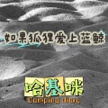 哈基咪 - 如果狐狸爱上蓝鲸