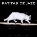 Música para gatos TA、Gato Relajarse、Música para gatos Deluxe - Boogie De Hierba Gatera