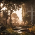 The Last of Us
