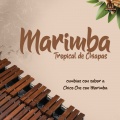 marimba、Marimba Tropical De Chiapas - Latin Laton