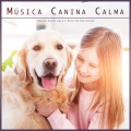 Música Para Cães、Música Para Cães Adormecidos、Música Calmante Para Cães - Música de Violão para Animais de Estimação