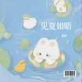 南枳 - 见夏如晤