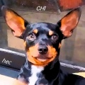 HEC - Chi
