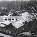 王斩 - 寒冬向北