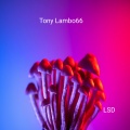 LSD