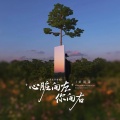 卢润泽 - 心脏向左你向右