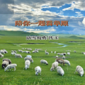踏雪飞鹰 - 陪你一起看草原